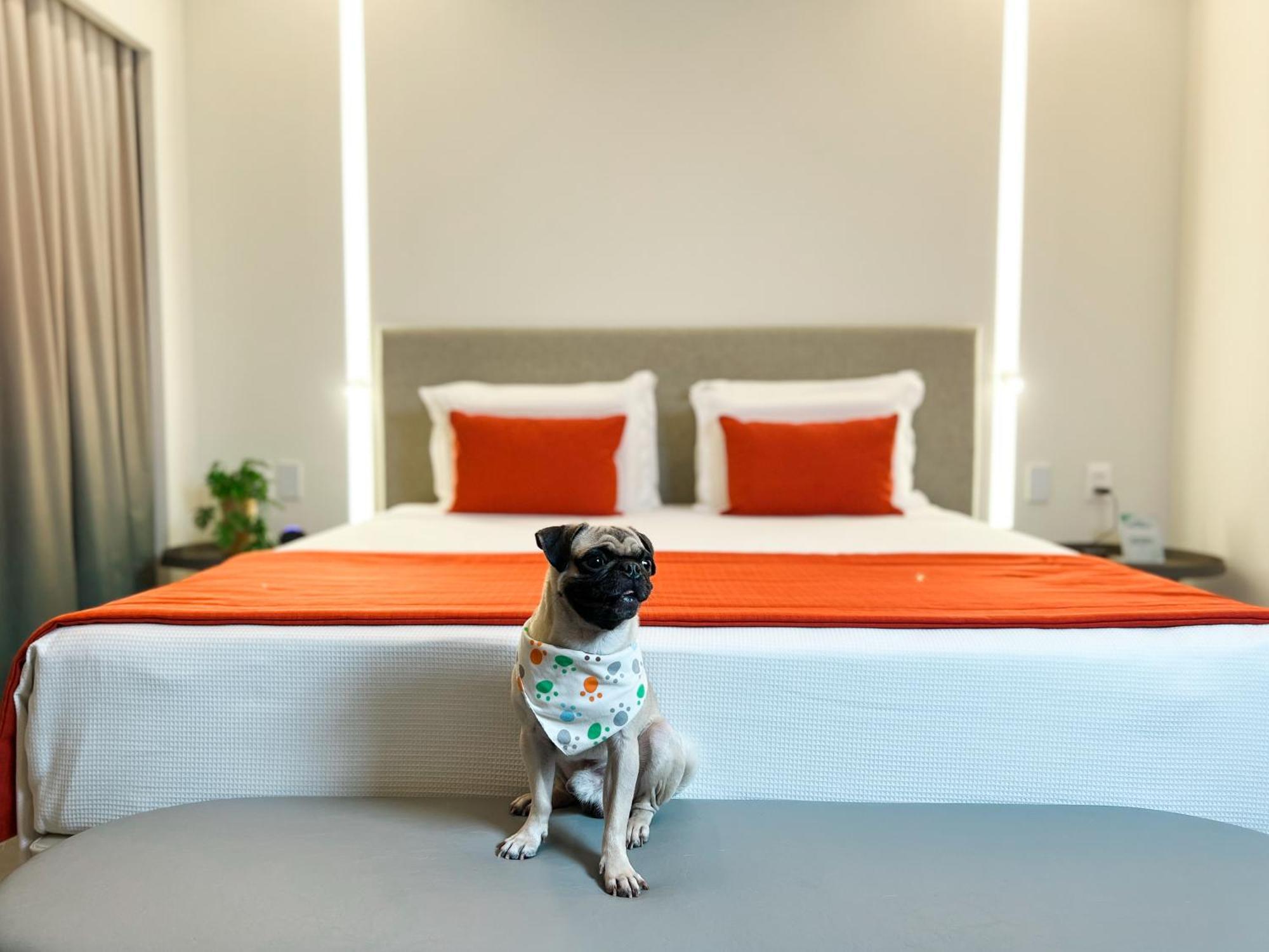 Japaratinga Lounge Resort Zewnętrze zdjęcie